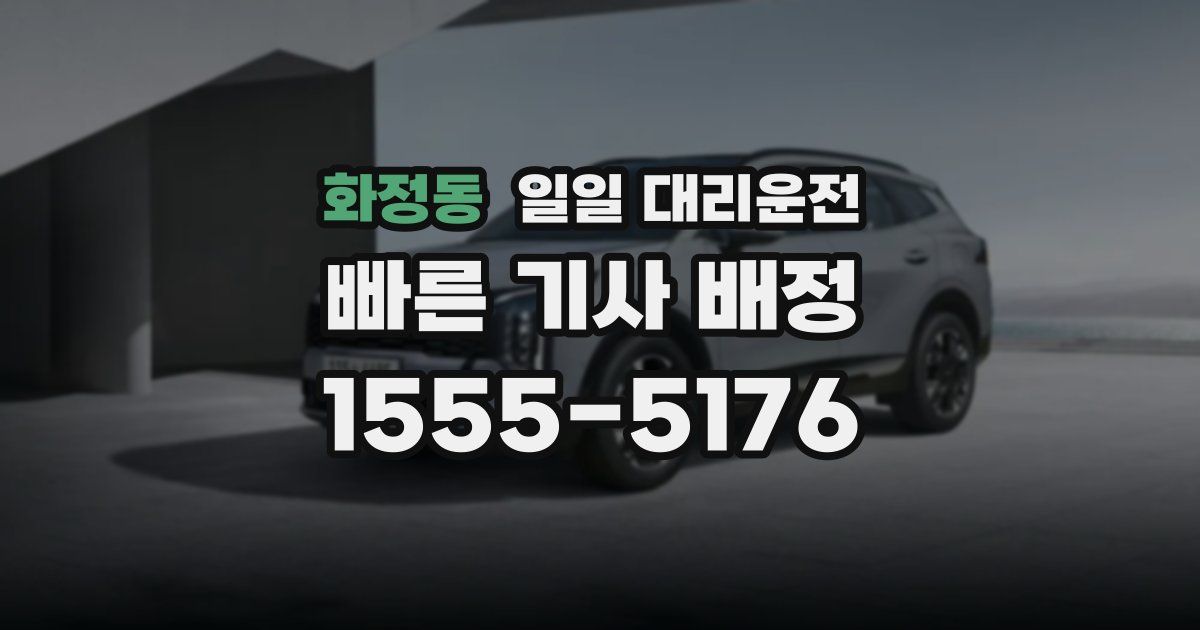 화정동 일일 대리운전