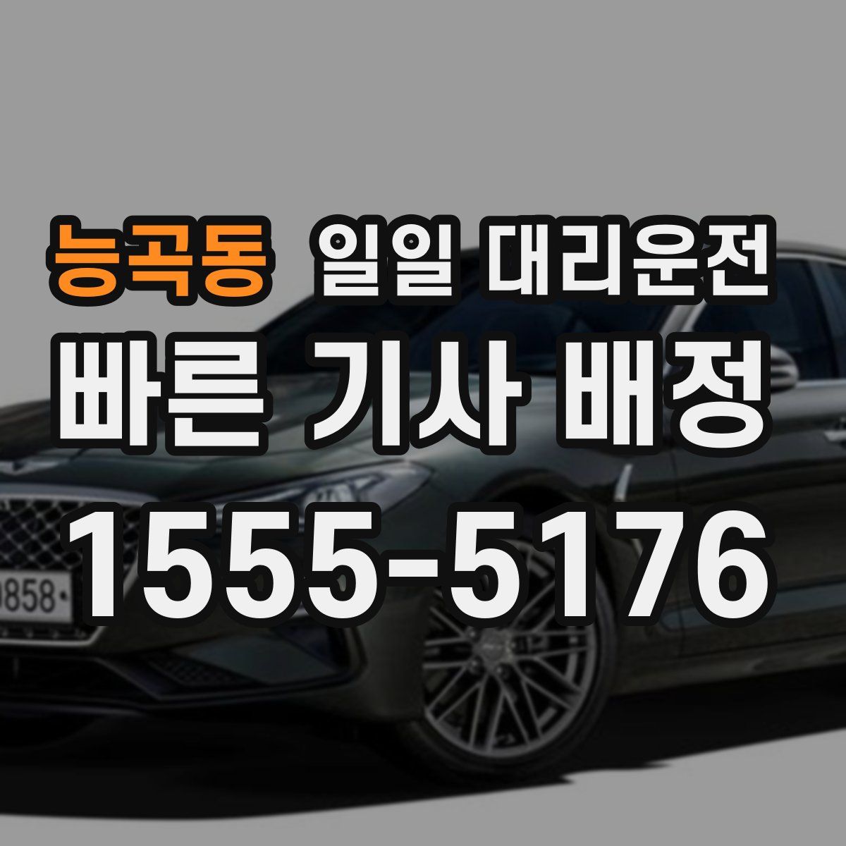 능곡동 일일 대리운전