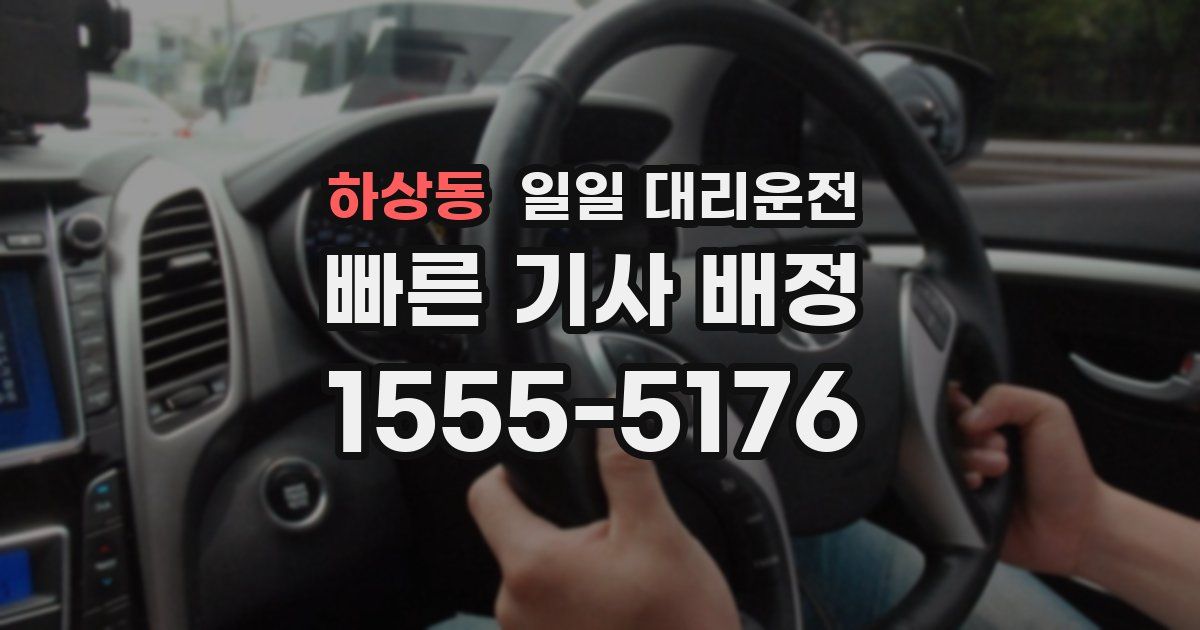 하상동 일일 대리운전