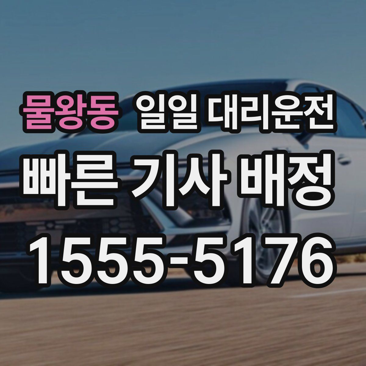 물왕동 일일 대리운전