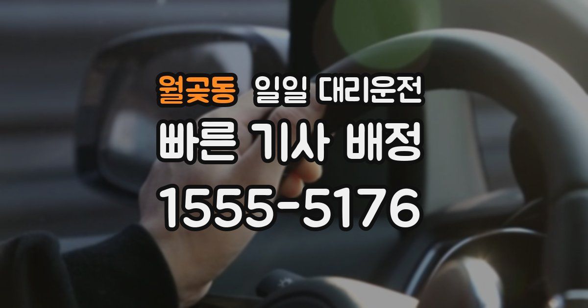 월곶동 일일 대리운전