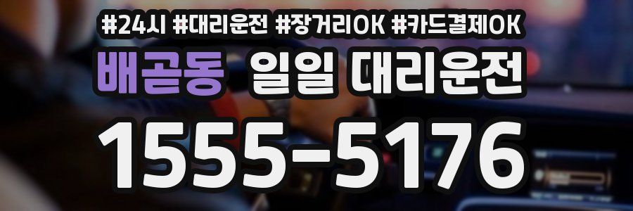 배곧동 일일 대리운전