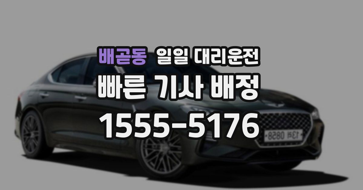 배곧동 일일 대리운전
