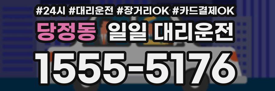 당정동 일일 대리운전