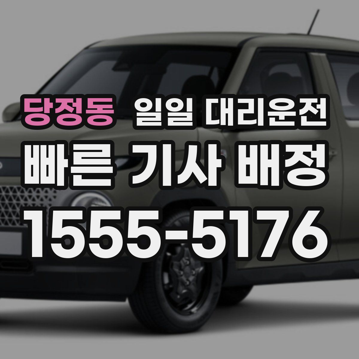 당정동 일일 대리운전