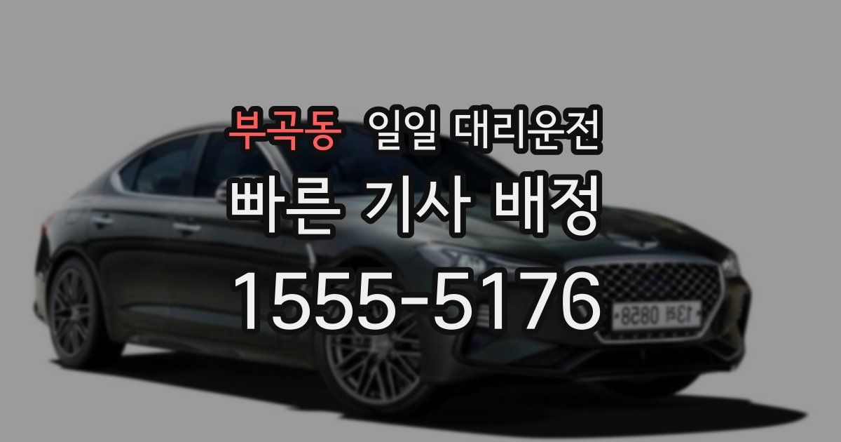 부곡동 일일 대리운전