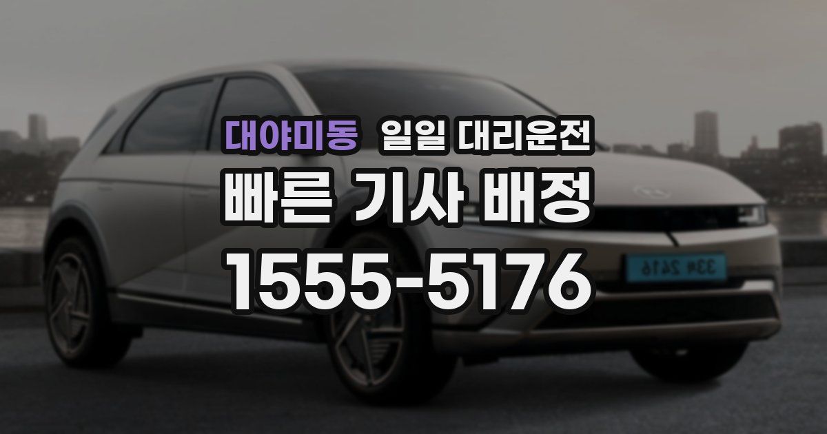 대야미동 일일 대리운전