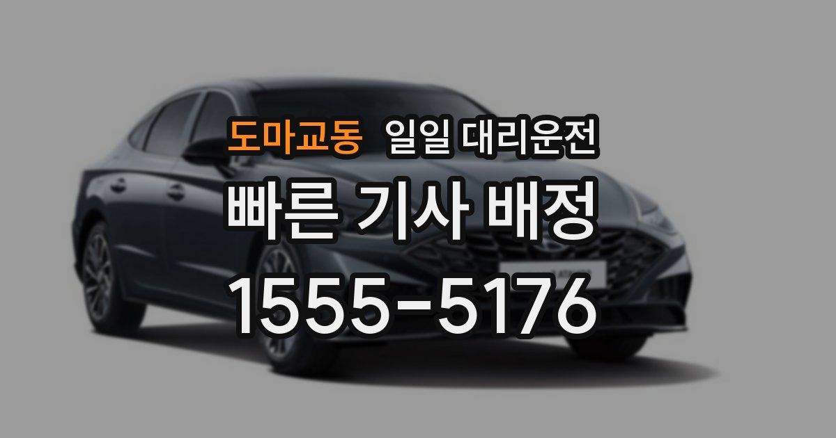 도마교동 일일 대리운전