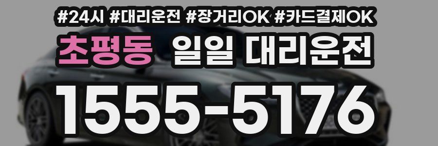 초평동 일일 대리운전