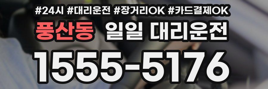 풍산동 일일 대리운전