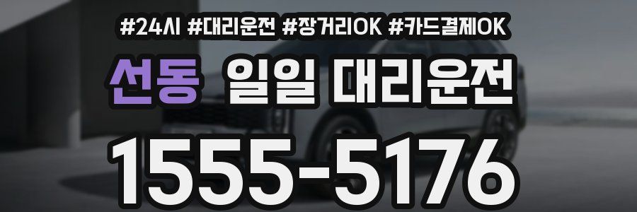 선동 일일 대리운전