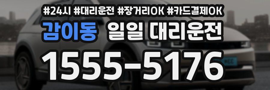 감이동 일일 대리운전