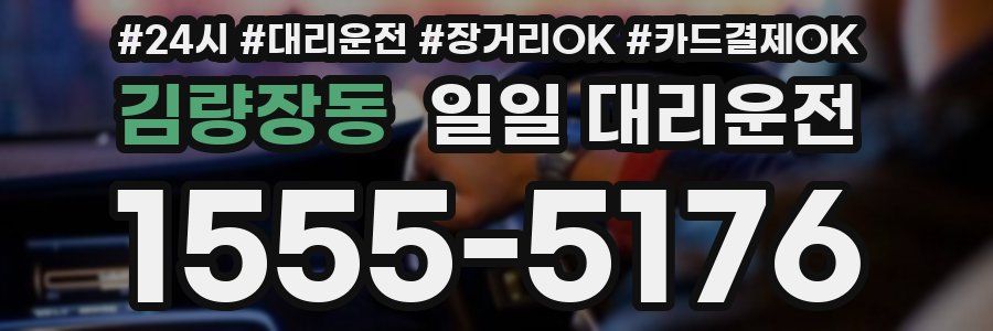 김량장동 일일 대리운전