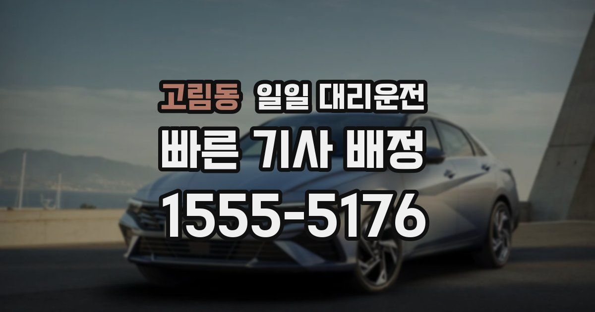 고림동 일일 대리운전