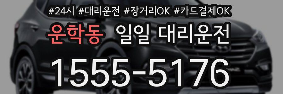 운학동 일일 대리운전