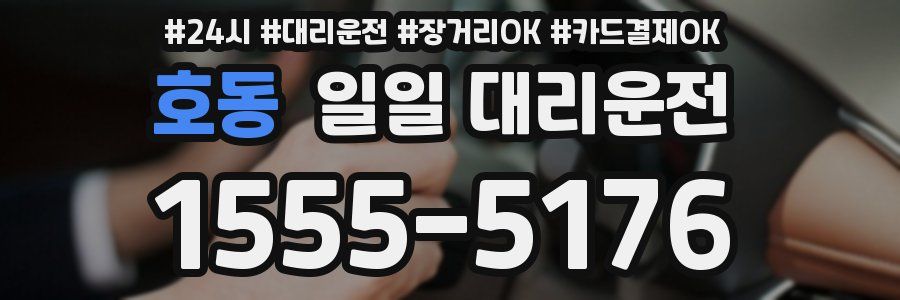 호동 일일 대리운전
