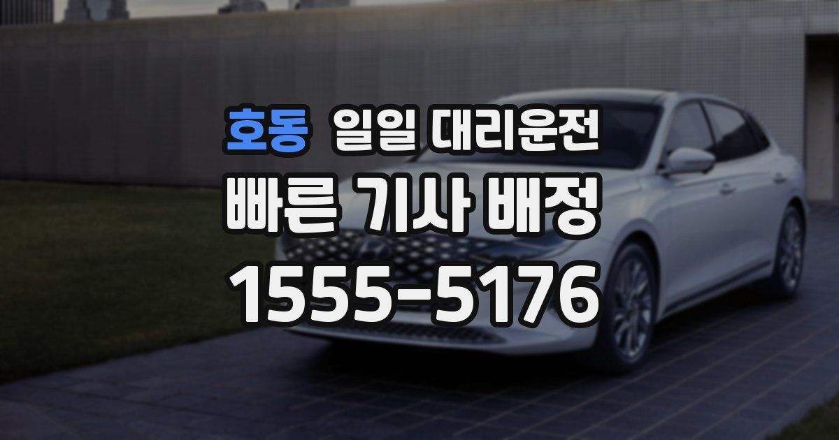 호동 일일 대리운전