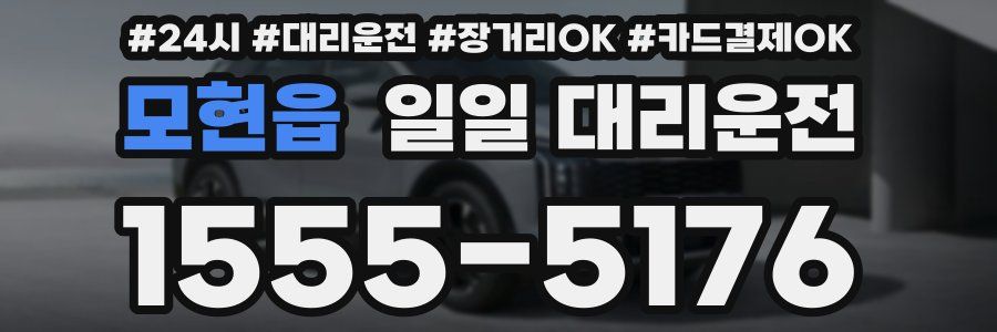 모현읍 일일 대리운전