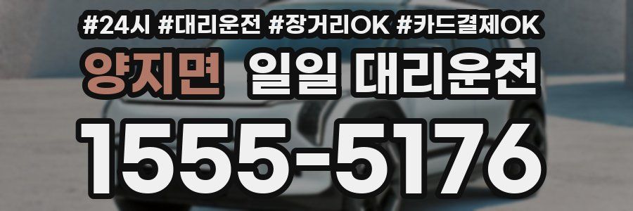 양지면 일일 대리운전