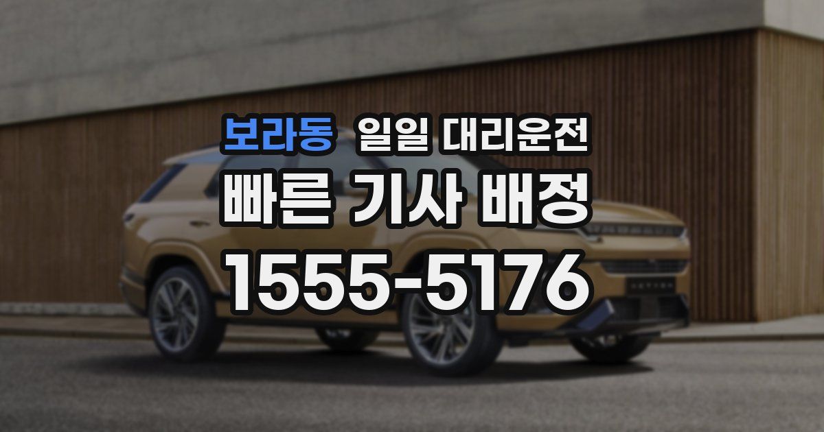 보라동 일일 대리운전