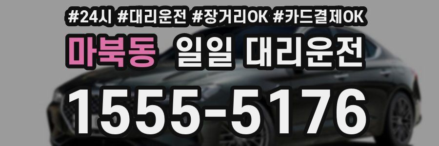 마북동 일일 대리운전