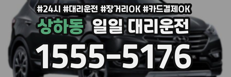 상하동 일일 대리운전