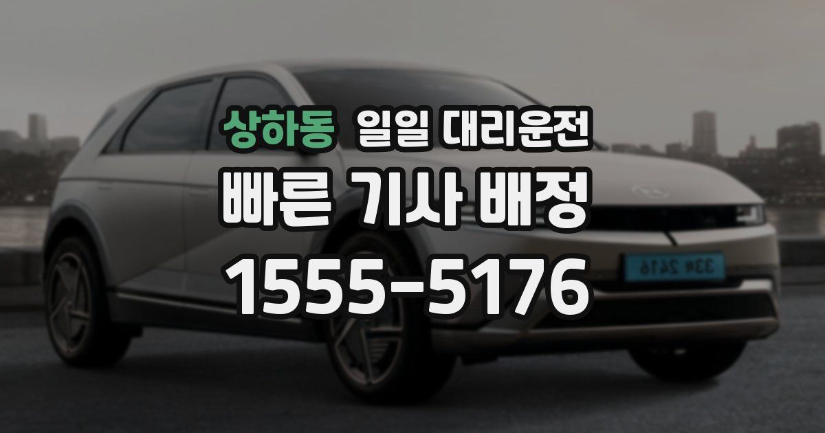상하동 일일 대리운전