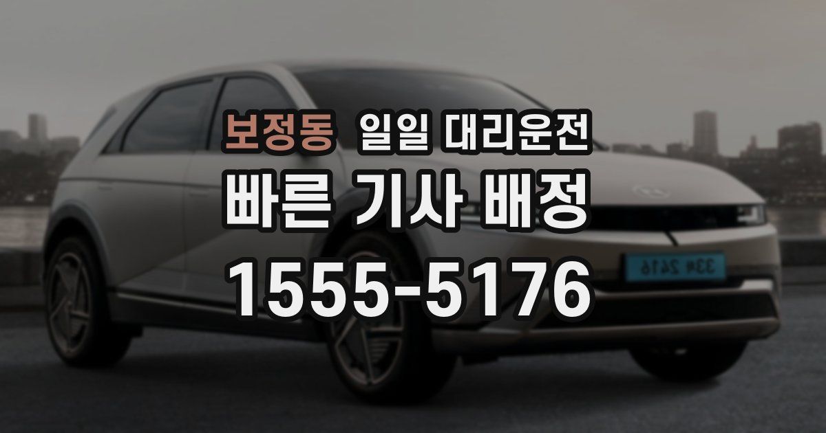 보정동 일일 대리운전
