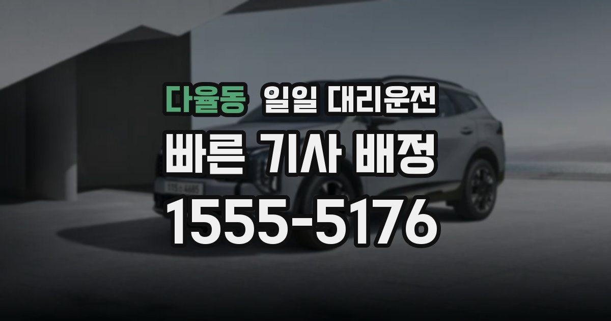다율동 일일 대리운전