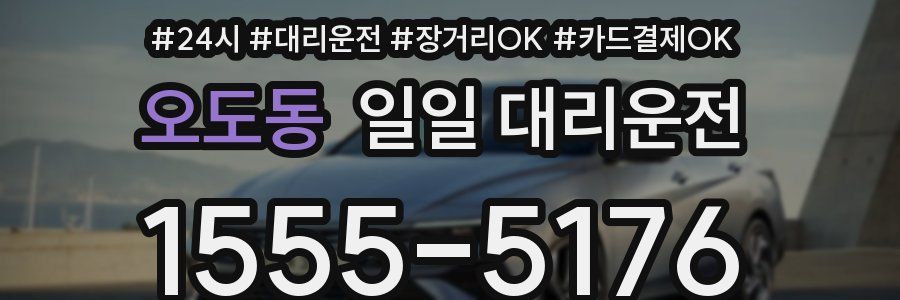 오도동 일일 대리운전