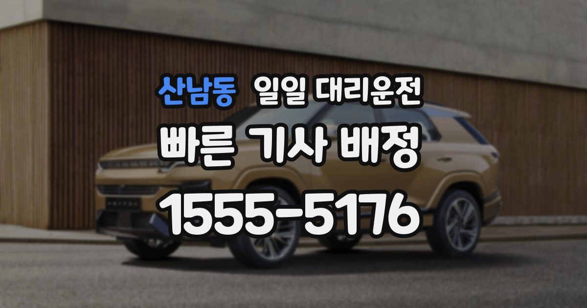 산남동 일일 대리운전