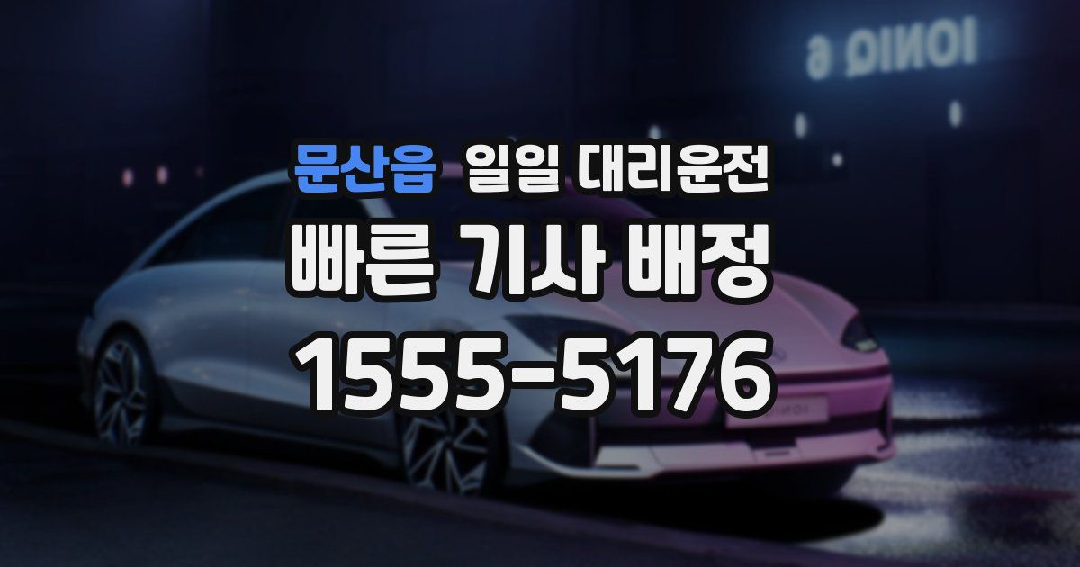 문산읍 일일 대리운전