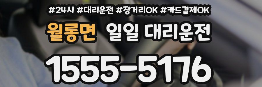 월롱면 일일 대리운전