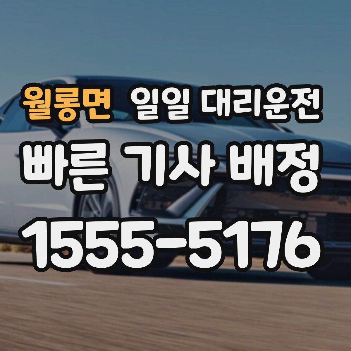 월롱면 일일 대리운전