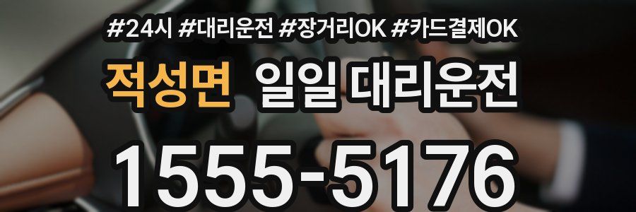 적성면 일일 대리운전
