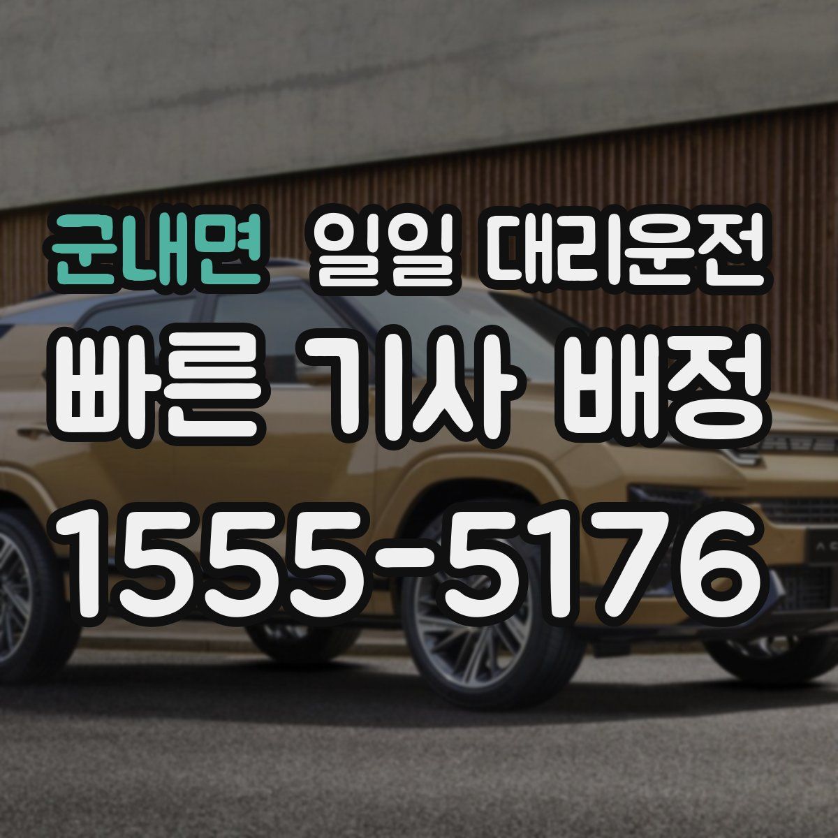 군내면 일일 대리운전