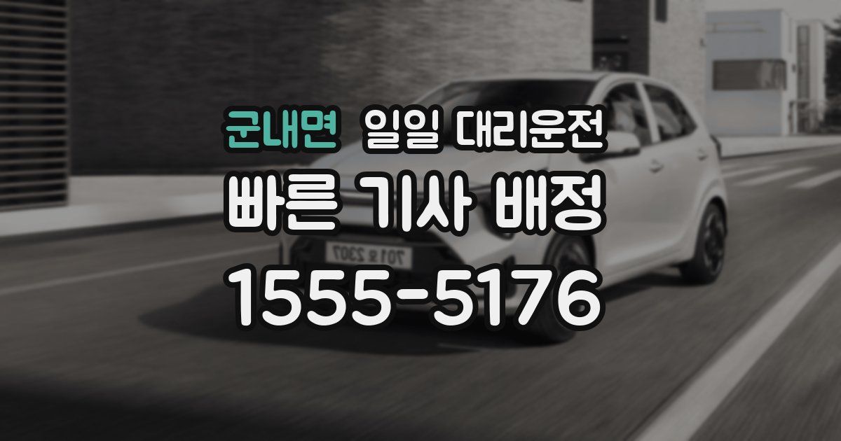 군내면 일일 대리운전