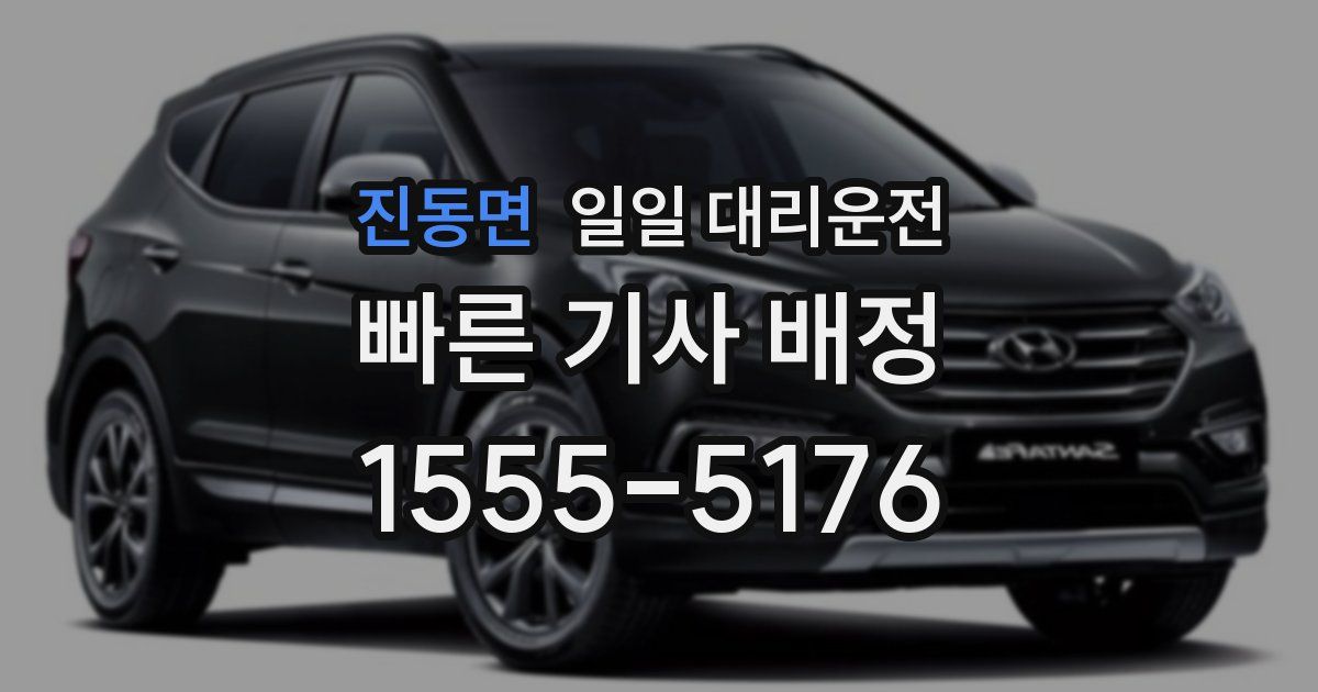 진동면 일일 대리운전