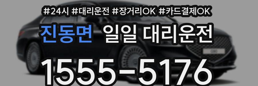 진동면 일일 대리운전