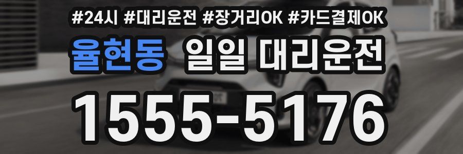 율현동 일일 대리운전