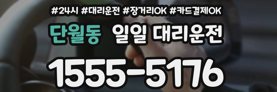 단월동 일일 대리운전
