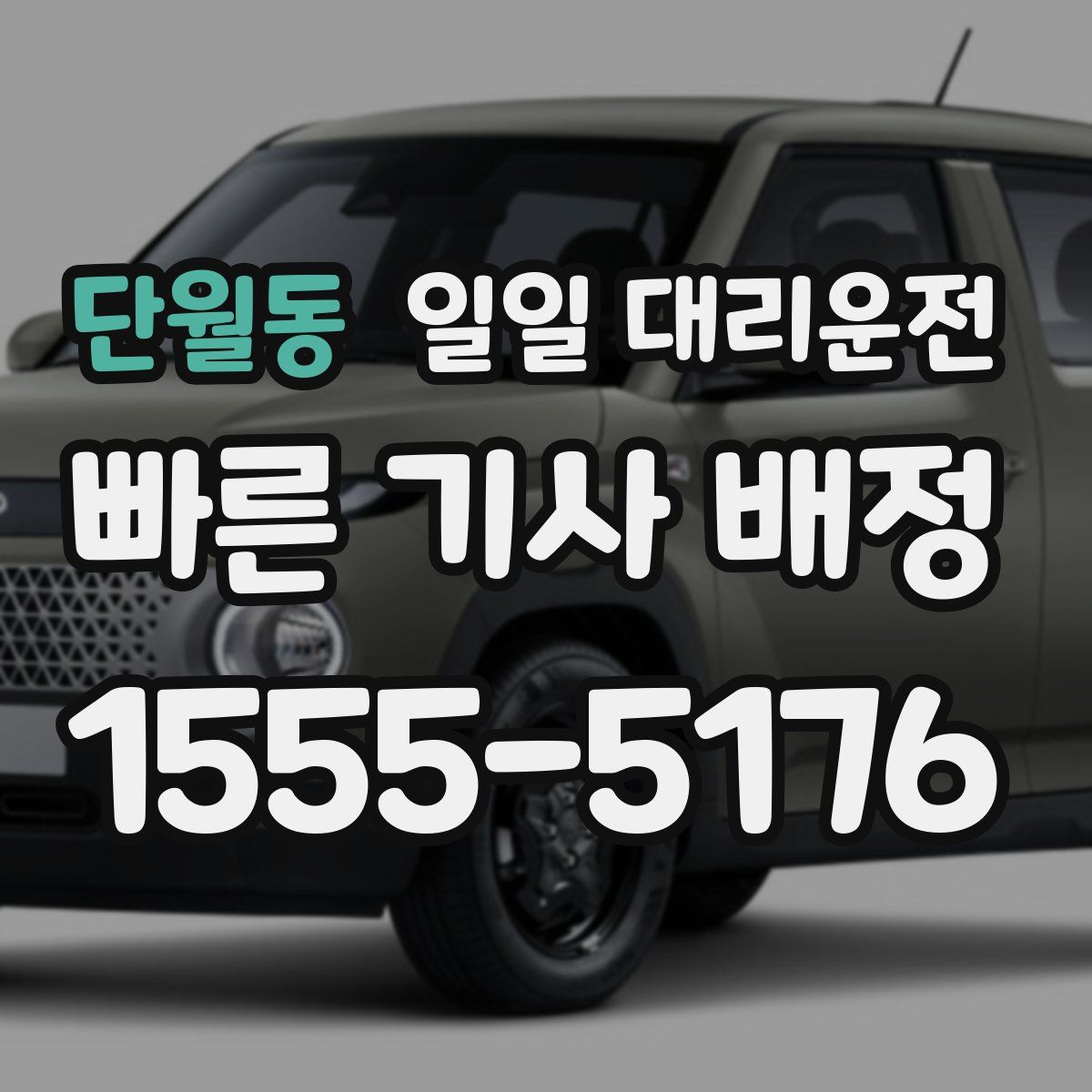 단월동 일일 대리운전
