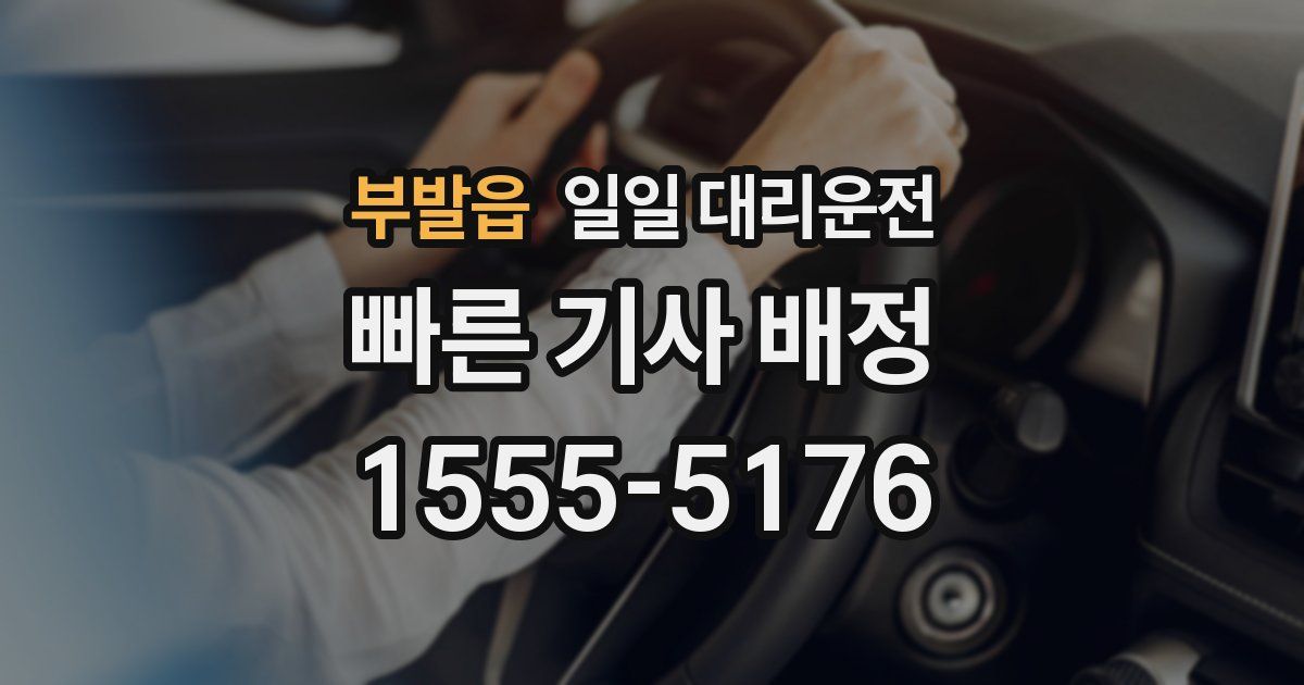 부발읍 일일 대리운전