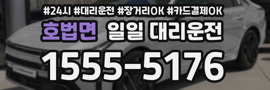 호법면 일일 대리운전