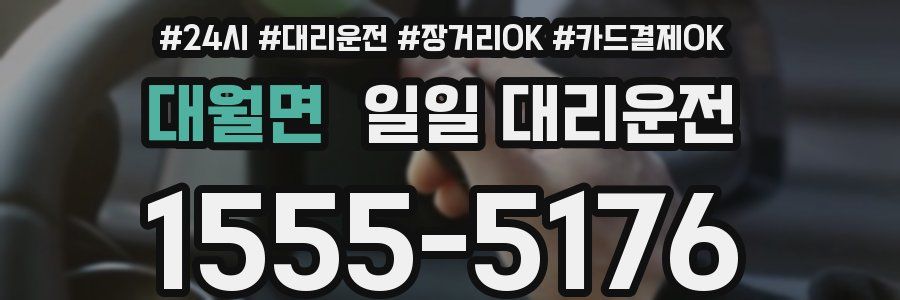 대월면 일일 대리운전