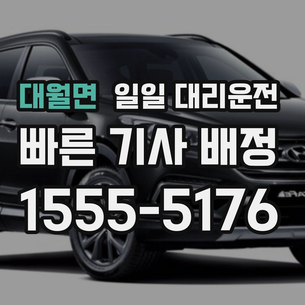 대월면 일일 대리운전