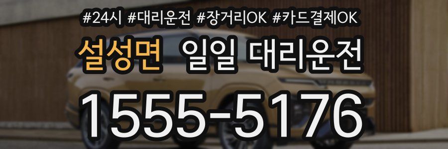 설성면 일일 대리운전