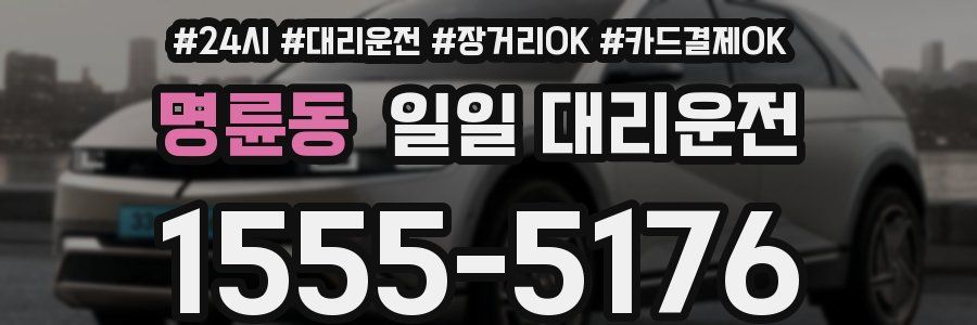 명륜동 일일 대리운전