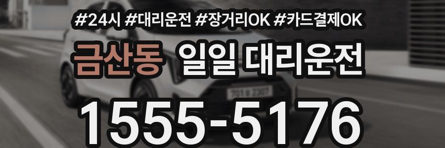 금산동 일일 대리운전