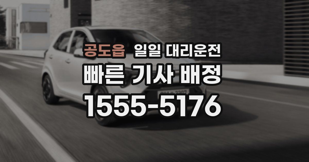 공도읍 일일 대리운전